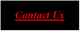 Text Box: Contact Us